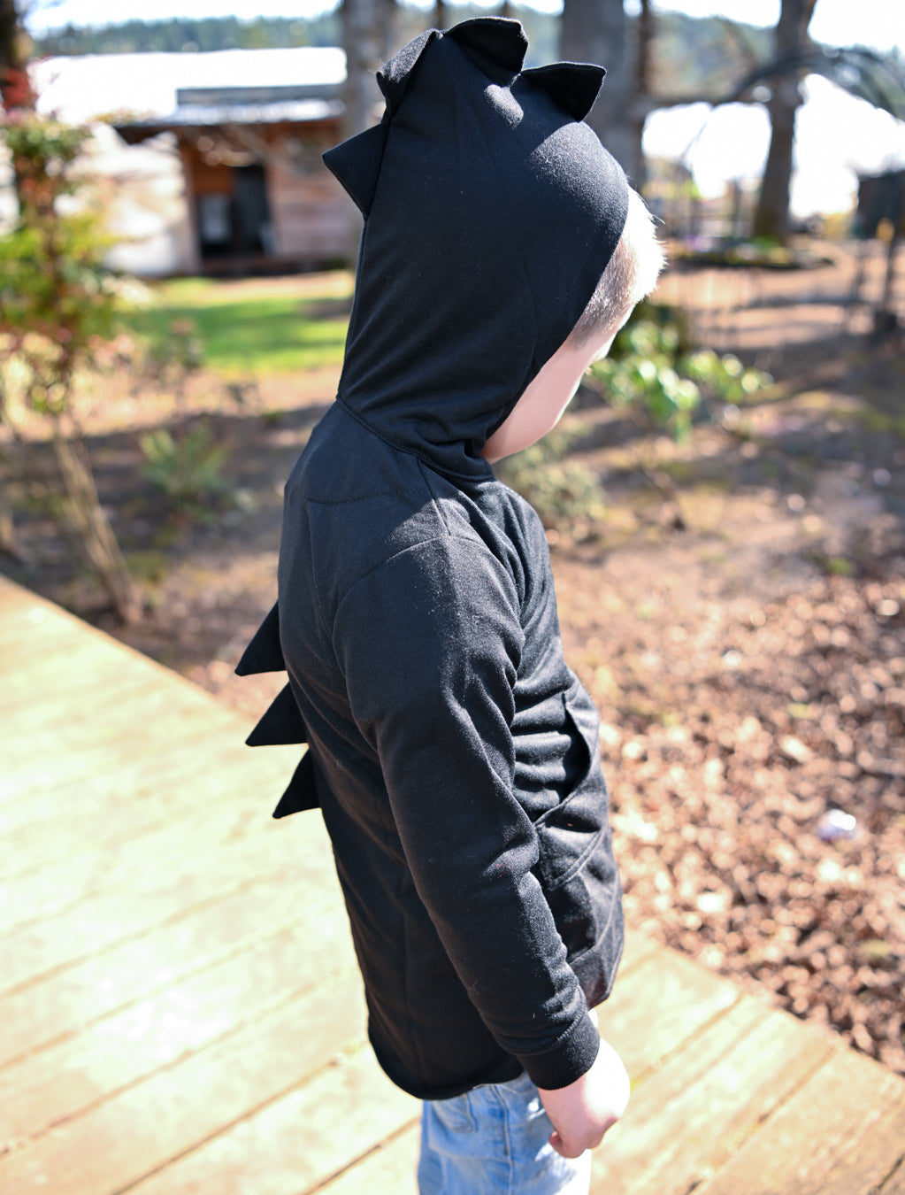 Dino Hoody