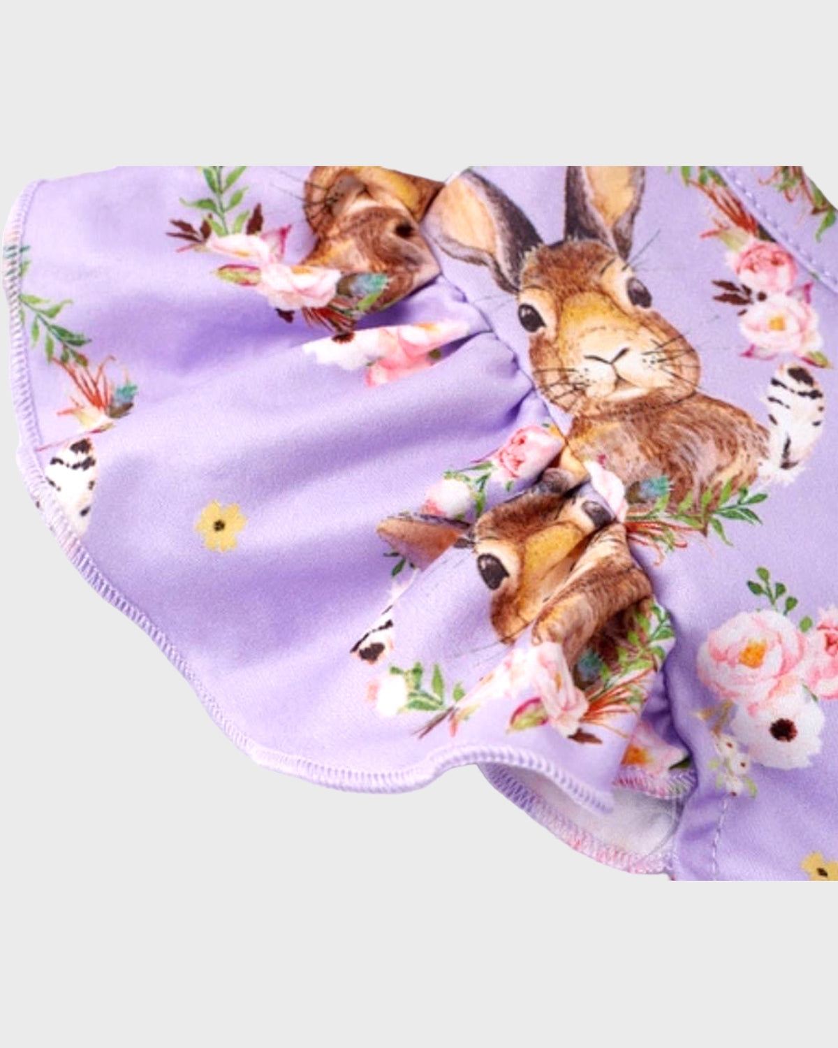 Peter Rabbit Dress