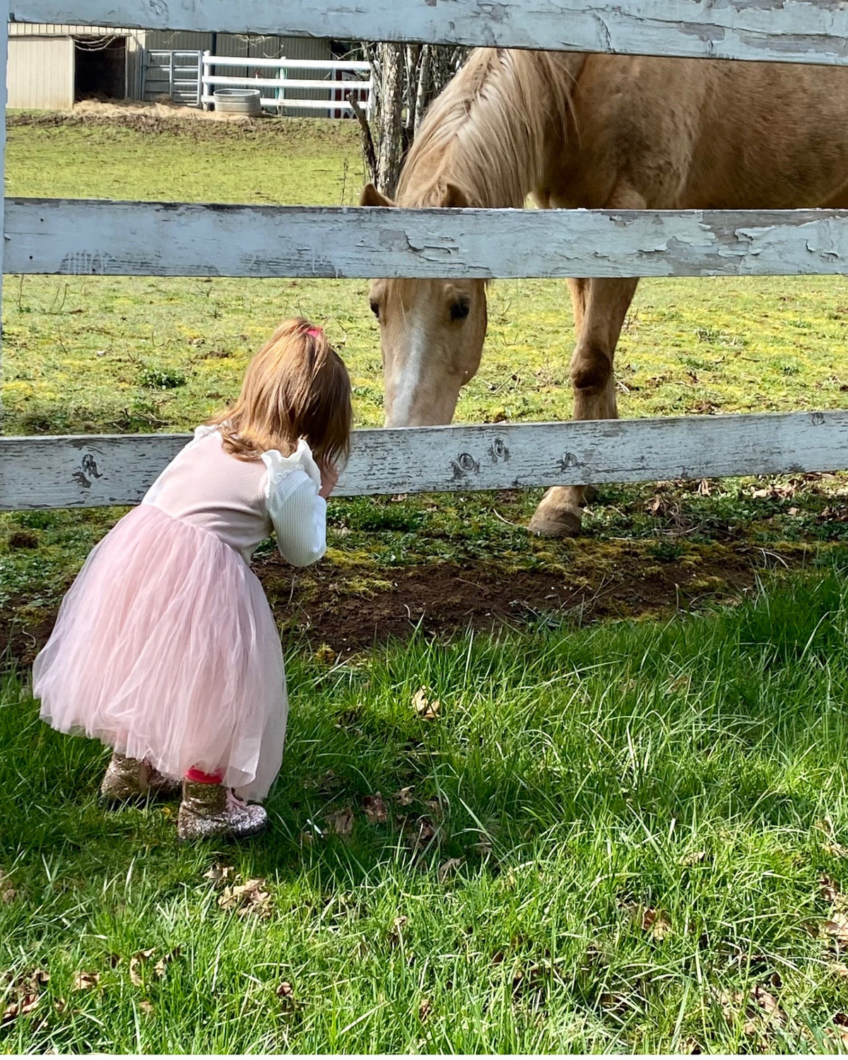 Josephine Tutu Dress